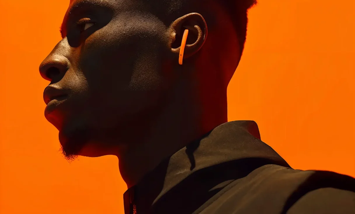 portfolio-Black-Bird